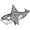 Killer whale