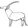 Arabian Oryx