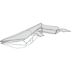 Whale
