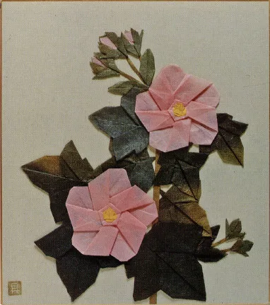 Confederate Rose