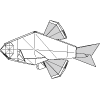 White cloud mountain minnows