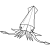 Squid