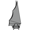 Bat