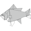 Curucian carp