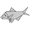 Golden eye snapper