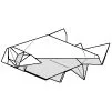 Cardinal tetra