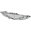 Polypterus