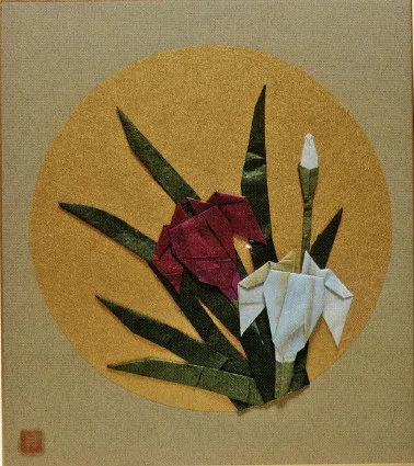 Iris Ensata