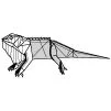 Iguana