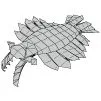 Anomalocaris