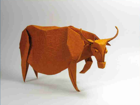 Water Buffalo