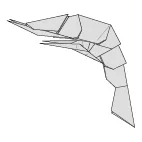 Shrimp