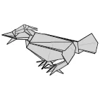 Little bird
