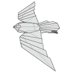 Buzzard