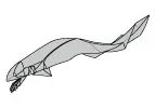 Frilled shark