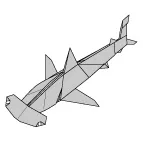 Hammer-head shark