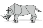 Rhinoceros
