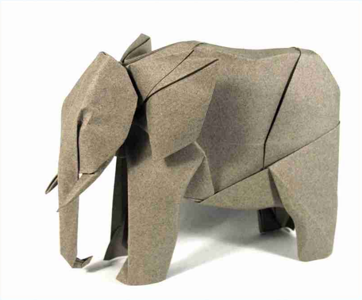 African elephant