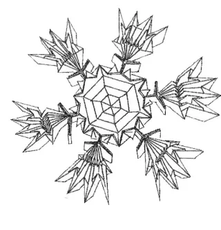 Snow crystal