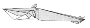 Finback whale