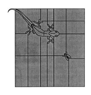 Gecko and fly on the wall