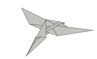 Pteranodon