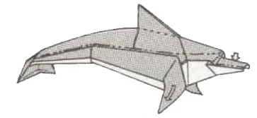 Dolphin