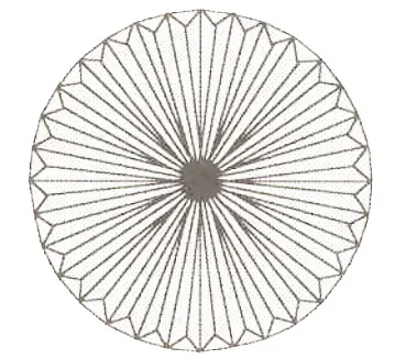 Chrysanthemum