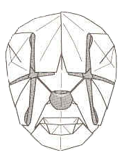 Clown mask