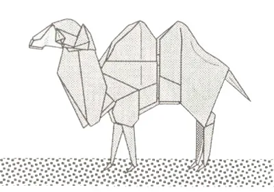 Camel
