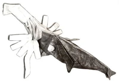 Sperm Whale Vs. Giant Squid