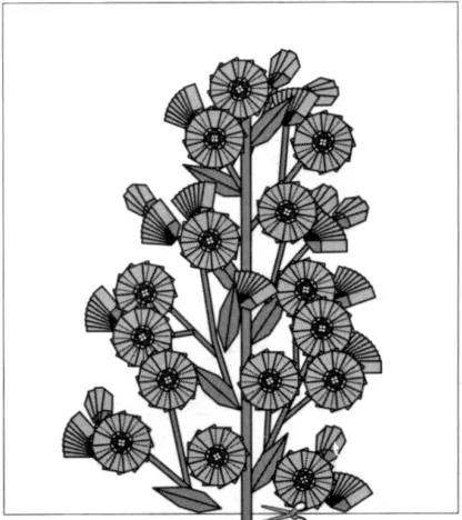 Asters