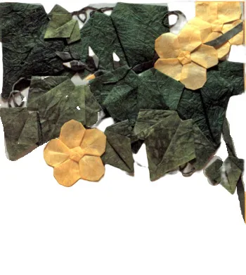 Loofah blossom