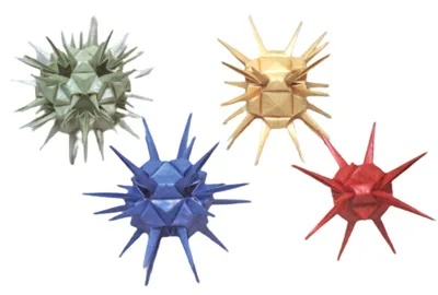Radiolaria