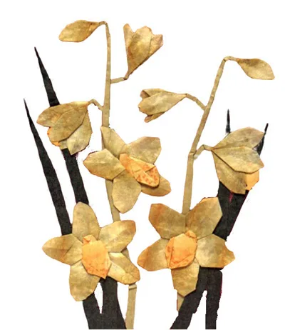 Cymbidiums