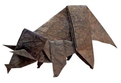 Triceratops