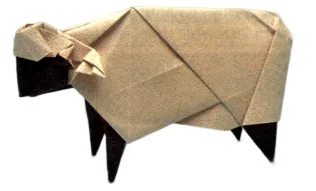 Sheep