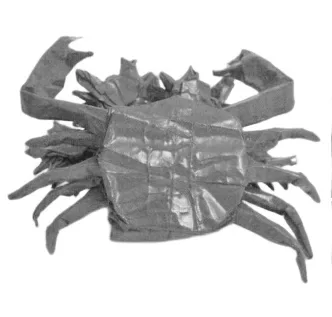 Crab with kids
