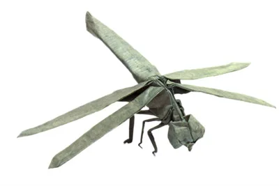 Dragonfly 1.1B