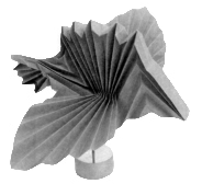 Fish form 5