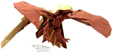 Lesser bird of paradise