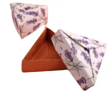 Triangular box