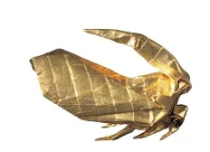 Treehopper