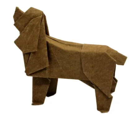 Cocker spaniel