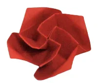 Rosy twist case