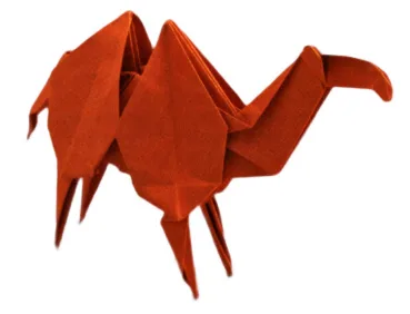 Camel