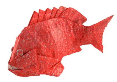 Sea bream (No Eating!)