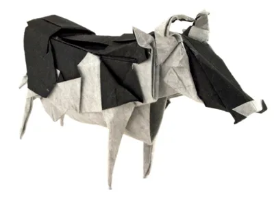 Cow