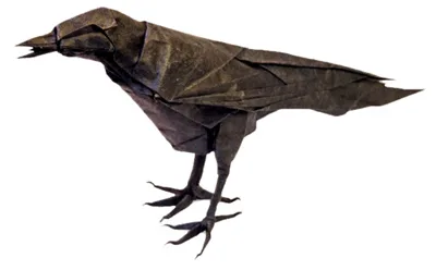 Crow