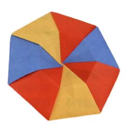 Spinning-top or Frisbee